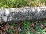 image of grave number 489513